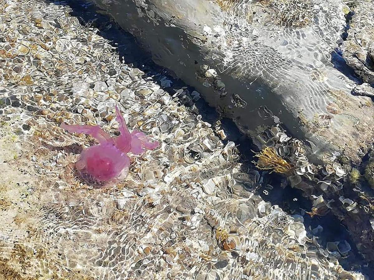 Appartamenti Giusi con giardino o veranda Madonna della Catena Esterno foto